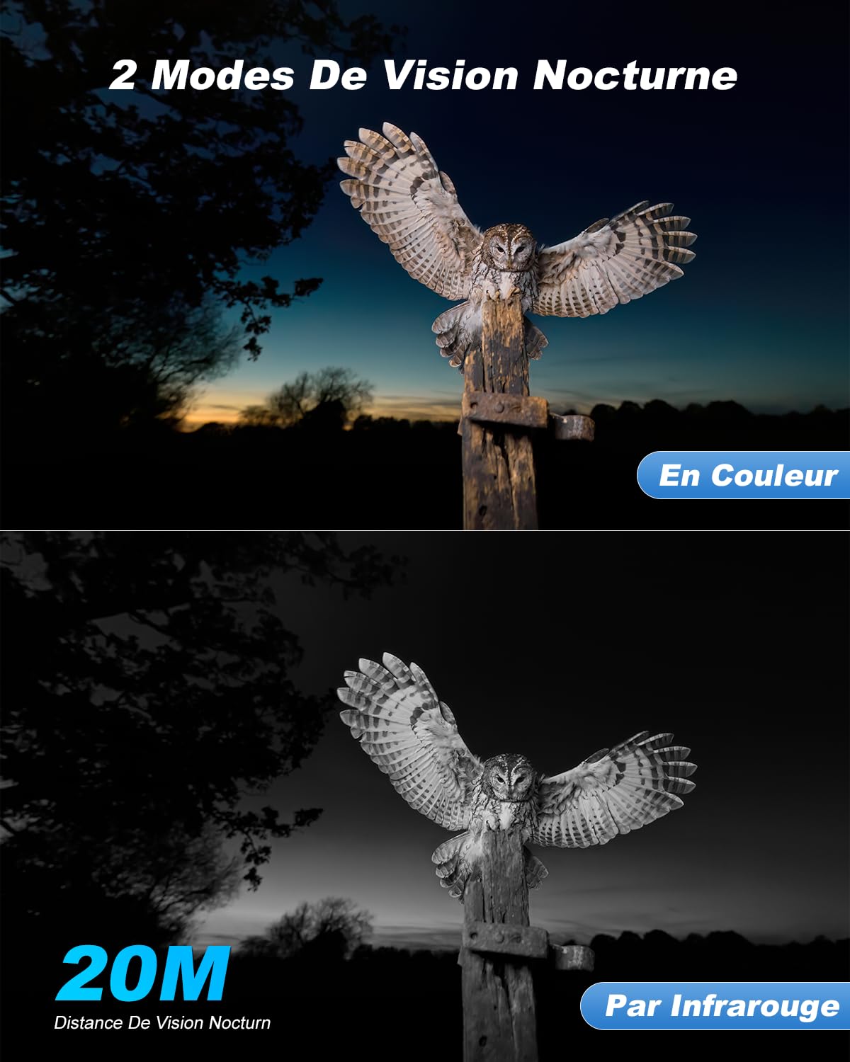 XEGA 4G LTE Camera de Chasse avec Carte Sim, 2K 3MP IP Caméra Solaire Extérieure sans Fil à Batterie, PTZ Projecteur/Sirène Détection de Mouvement Personnalisée