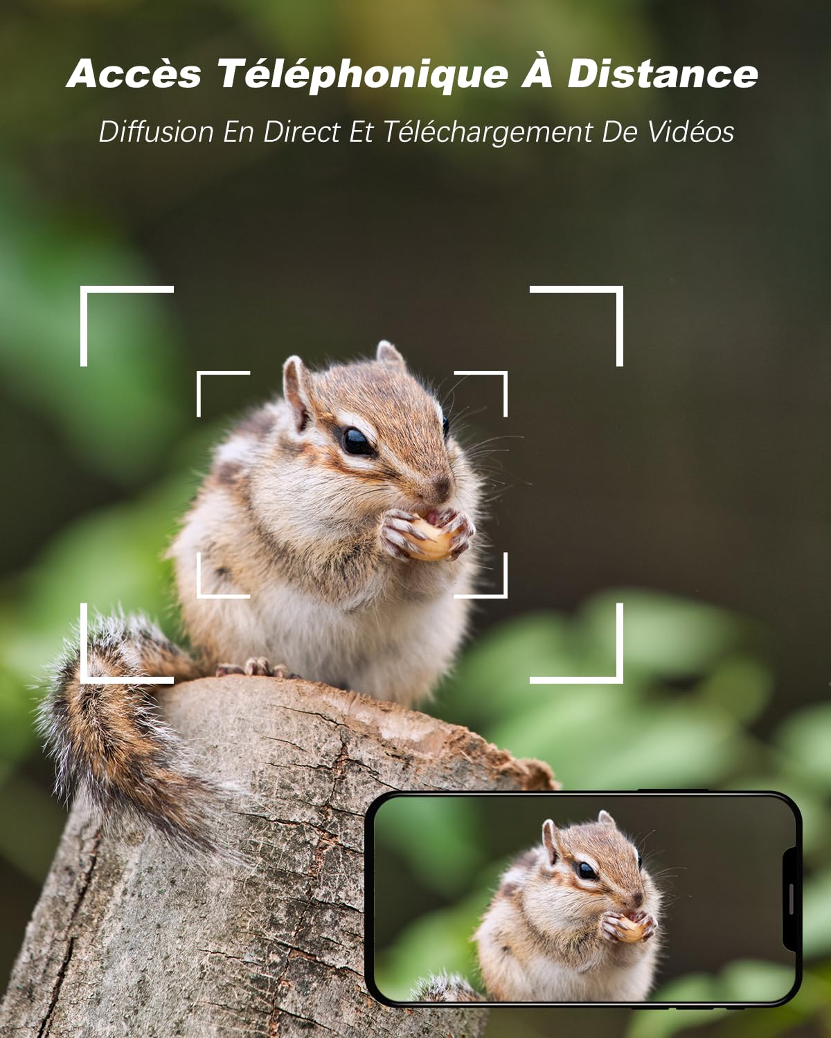 XEGA 4G LTE Camera de Chasse avec Carte Sim, 2K 3MP IP Caméra Solaire Extérieure sans Fil à Batterie, PTZ Projecteur/Sirène Détection de Mouvement Personnalisée